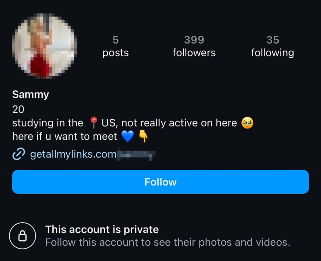 Typical Instagram page of an OnlyFans Funnel Bot